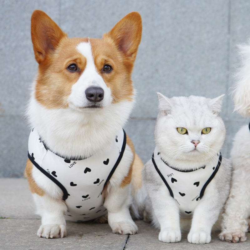 500円OFFクーポン 犬 服 ドッグウェア 犬服 犬用ウェア ペットウェア タンクトップ ノースリーブ 袖なし Tシャツ 小型犬 中型犬 大型犬 チワワ コーギー ペット用品 可愛い おしゃれ お散歩 お出かけ カラフル イヌ用 わんちゃん用 OceanMap