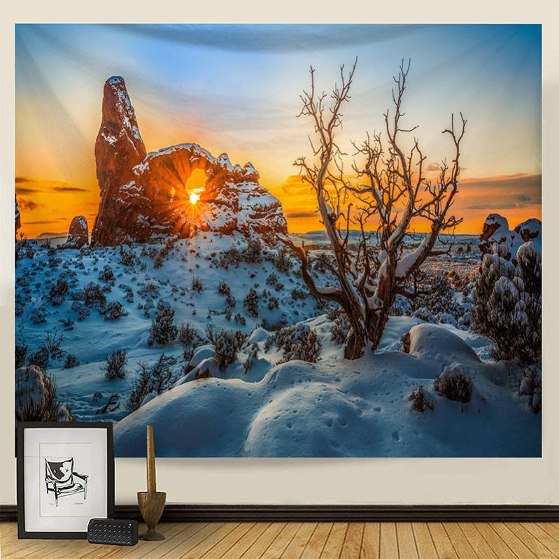 500円OFFクーポン 雪景色 タペストリー 冬 雪原 雪化粧 季節 風景 景色 窓 だまし絵 森 山 癒し テレワーク 背景 リモートワーク 背景布 壁 インテリア 布 目隠し 部屋 飾り自宅やお店の装飾 おしゃれ インテリア雑貨 リビング 寝室 窓 個性ギフト