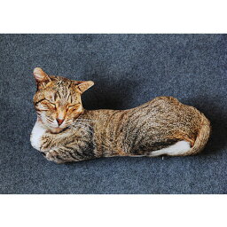 500円OFFクーポン 抱き枕 枕 柔らかい かわいい 萌え 猫 ぬいぐるみ 気持ちいい ふわふわ 撮影道具 動物モデル おもちゃ 背当たれ オフィス用 上品 背当たれ 癒し系 寝具 部屋飾り 萌え萌え 装飾枕 リアル OceanMap