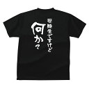 受験生ですけど何か？おもしろTシャツネタの提供：M様メンズレディースキッズベビー