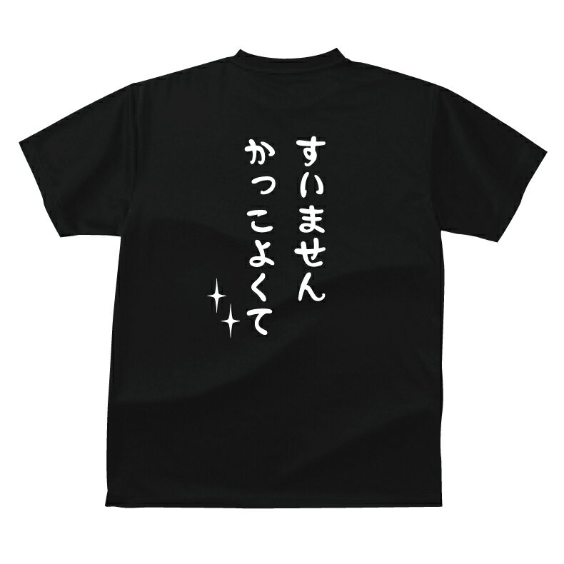 おもしろ tシャツ すいません　かっこよくてTシャツ ギフト プレゼント メンズ レディース キッズ 半袖 綿100％ ぽっちゃり セクシー