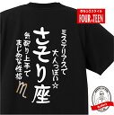 星座 tシャツ おもしろ tシャツ さそり座 星座Tシャツ ギフト プレゼント 人気 メンズ レディース キッズ 半袖 綿100％ 星座 占い 診断 タイプ 蠍座