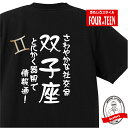 星座 tシャツ おもしろ tシャツ 双子座 星座Tシャツ ギフト プレゼント 人気 メンズ レディース キッズ 半袖 綿100％ 星座 占い 診断 タイプ ふたご座