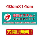 [看板] 防犯カメラ24時間監視中/防犯システム常時稼動中/防犯カメラ設置看板です。防犯と安全のため、常に監視・録画をしています。[看板] 防犯カメラ24時間監視中/防犯システム常時稼動中/防犯カメラ設置看板です。防犯と安全のため、常に監視...