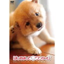 はじめまして ワンタイム