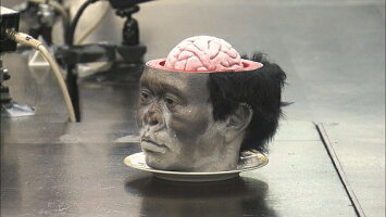 ダウンタウンのガキの使いやあらへんで!(祝)通算500万枚突破記念(25)(罰)絶対に笑ってはいけないトレジャーハンター24時(1)(仮)【予約】