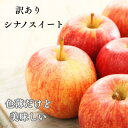 【訳あり・お得】シナノスイート りんご 訳あり 10kg 送料無料 色薄 青森 秋田 家庭用 食卓 直送 3キロ 送料無料 フルーツ 果実 アップル 訳あり お得 リンゴ スマートフレッシュ 栄養素 りんご酢 安い 旬のりんご 至福の味 お試し