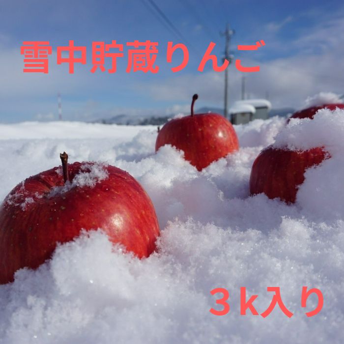 【雪中貯蔵りんご】 秋田県 3キロ 家庭用 ギフト ふじ ふじりんご りんご 贈答 美味しい 雪室 リンゴ 高糖度 フルーツ 母の日 母の日ギフト 送料無料