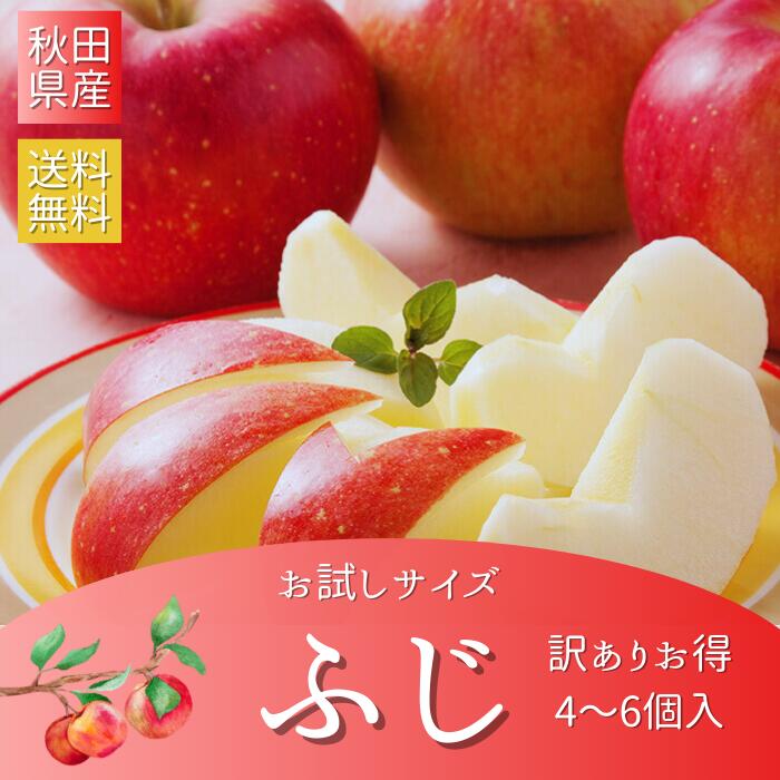 訳あり りんご サンふじ 訳あり りんご10kg 家庭用 林檎 ふじ 5kg 3kg 送料無料 りん ...