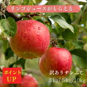 【5月3日20時からGWクーポン券発行】訳ありりんご サンふじ 訳あり...(4)