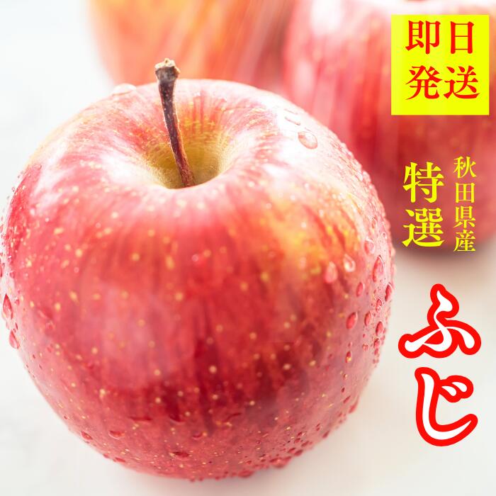 【お買い物マラソン割引＆ポイント3倍】りんご ふじ サンふじ 10kg 送料無 りんご フジ 青森 秋田 リンゴ酢 お得 美味しい 林檎 フルーツ 果物 リンゴ フルーツギフト コンポート リンゴジュース セット りんご 10kg 5kg 3kg お取り寄