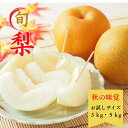 【ポイント3倍!+10%OFF/9/10まで】梨 豊水 5kg 和梨 新興 ギフト 送料無料 フルーツ 秋の味覚 家庭 3kg 5kg 新高 果物 プレゼント 誕生日 ハロウィン 美味しいフルーツ お取り寄せグルメ 旬の果実 フルーツギフト 美味しい梨 栄養素 お取り寄せ