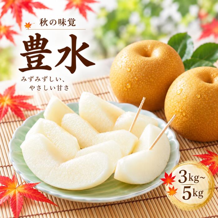 楽天市場】梨 幸水（総重量（果物）3.00 ～ 3.99kg）（食品）の通販