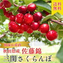 【8/4お買い物マラソン/ポイント最大11倍】【収穫中!即日発送】さくらんぼ 佐藤錦 Lサイズ 紅秀峰 父の日 ギフト 秋田 サクランボパック200g 送料無料 三関 さくらんぼ さくらんぼ サクランボ 秋田 三関 チェリー フルーツ 果物 佐藤錦 紅てまり
