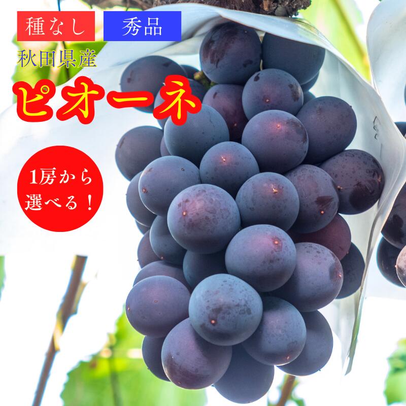 楽天市場】ピオーネ 1kg 化粧箱の通販