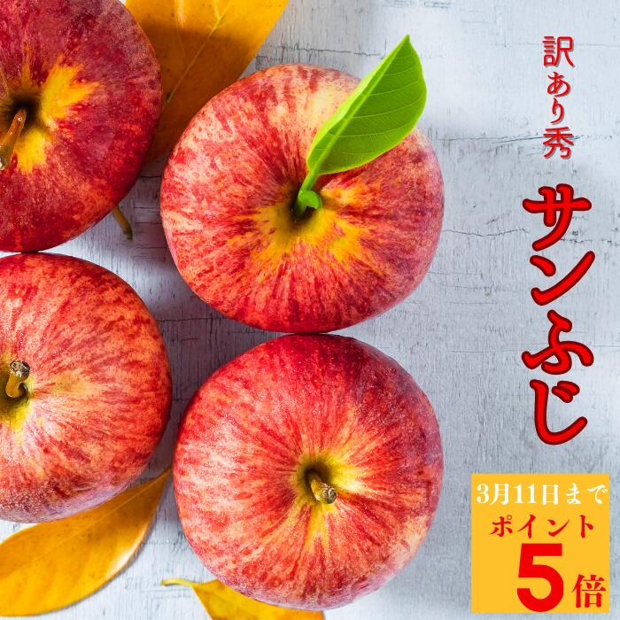 【ポイント5倍】訳あり サンふじ りんご10kg お試し用 3kg家庭用 林檎 ふじ 美味しい フルーツ 送料無料 貯蔵 果物 リンゴフルーツギフト 貯蔵りんご リンゴジュース お中元 セット 青森 秋田 栄養素 美味しい パリパリりんご ビタミン スムージー お手頃 リンゴ酢
