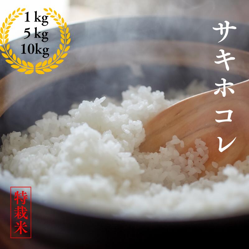 楽天市場】お米 10kg 送料無料(総重量(米/穀物)5.0 ~ 5.9kg 楽天市場】お米 10kg 送料無料(総重量(米/穀物)5.0 ~ 5.9kg