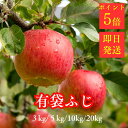 【ポイント最大7倍】訳ありりんご サンふじ 訳あり りんご10kg 家...(4)