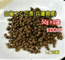 山椒の佃煮(醤油漬)50g×2袋送料無料 メール便でお届け同梱可。