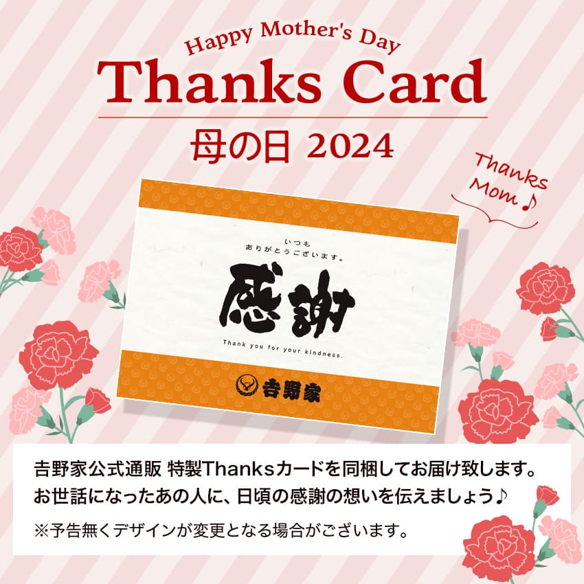 吉野家 吉野家茶碗2個セット【常温/冷凍配送可】ギフト 贈り物 敬老の日 吉野家 オリジナル【送料込み】 3