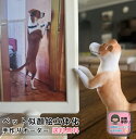ペット似顔絵 写真立体化フィギュア ペットオーダーメイドフィギュア ペットの形見 ペット記念 誕生日 お祝い 贈り物 名入れ ギフト 犬 猫 手作り 愛犬 愛猫 好き 3Dペット造形 遺影 トイ・プードル 柴犬 チワワ ポメラニアン パグ マルチーズ マンチカン ペットグッズ