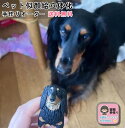 【手作りペットフィギュア】愛犬・愛猫の立体似顔絵 オーダーメイド制作 トイプードル・ポメラニアン・パグなど 誕生日プレゼントや供養用に 名入れ対応