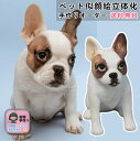【完全手作りオーダーメイド】愛犬・愛猫の3D立体似顔絵フィギュア 写真から精巧に制作 柴犬・トイプードル・みけねこ・スコティッシュフォールドなどあらゆる犬猫種対応 ペット記念・誕生日プレゼント・供養用に 名入れ可で世界に一つだけの特別な贈り物