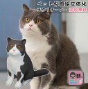 【ペット記念ギフト】ペットオーダーメイドフィギュア 愛犬・愛猫の写真を3D立体化 柴犬・秋田犬・スコティッシュフォールドなど 供養用・形見・お悔みからお祝い事まで幅広く対応