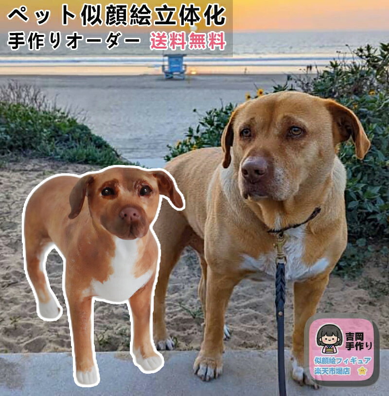 ペット似顔絵立体化ペットオーダーメイドフィギュア ペットの形見 お祝い ペット記念 柴犬 秋田犬 トイプードル ジャパニーズボブテイル みけねこ スコティッシュフォールド 贈り物 名入れ ギフト 犬 猫 愛犬 愛猫 好き 3Dペット造形 遺影 ポメラニアン パグ マルチーズ