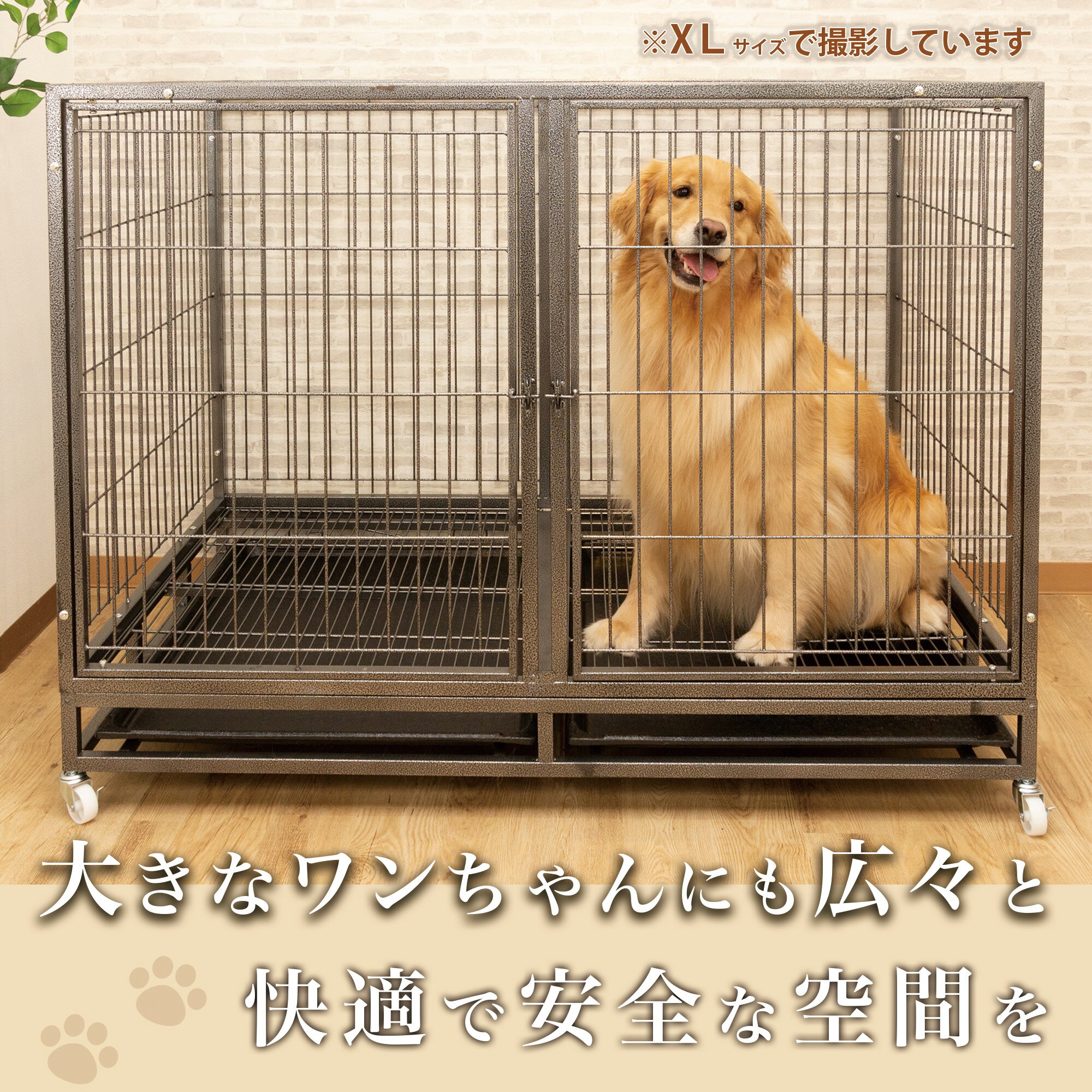 サンプル画像3