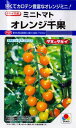 オレンジ千果 ミニトマト 20粒 【トマト種】【タキイのタネ】【送料110円?】【野菜の種】【機能性野菜】【高カロテン】【ファイトリッチシリーズ】