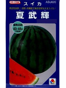 夏武輝 11粒 大玉スイカ種子【西瓜種】【タキイのタネ】【送料110円〜】【野菜の種】