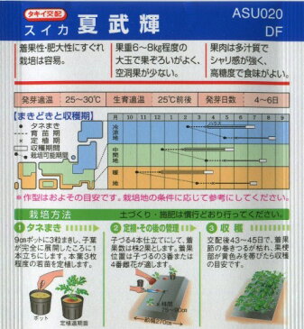 【郵便配送指定で送料無料】夏武輝　200粒　西瓜種子【スイカ種】【タキイのタネ】【送料無料】【野菜の種】