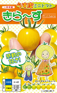 薄皮ミニトマト　きら〜ず　20粒【家庭菜園　直売所向き】【ナント交配】【薄皮プチトマト】【プランター栽培】