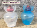 ヒヤシンス水耕栽培セット 水耕用特大球根【ヒヤシンス水耕栽培...