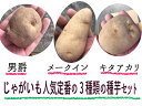 北海道産　人気定番のじゃがいも種3点セット（男爵、メークイン、キタアカリ）各500g　馬鈴薯種【ジャガイモ種】じゃがいも