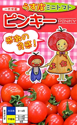 薄皮ミニトマト ピンキー 【家庭菜園 直売所向き】【ナント交配】【薄皮プチトマト】