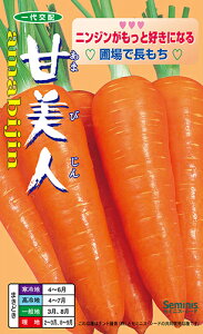 甘美人 人参種子 コート250粒【ナント交配】【甘い人参】【蒔きやすいコート種子】【作りやすくおいしい】