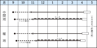 マッハ　玉ねぎ種子　20ml　極早生種　小袋種子　【郵便送料110円〜】【タキイ種苗】【野菜種子】