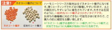 イエローハーモニー　人参種子　ネオコート340粒【カラフルキャロット】【直売所向き】【人参種子】