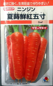 ニンジン種子 夏蒔鮮紅五寸 9ml(約1,500粒) 小袋種子 【タキイ種苗】【人参の種】【野菜種子】