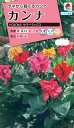花タネ NL300 カンナ トロピカル サマーミックス 小袋 FCA119 【花の種】【タキイのタネ】【ガーデニング】