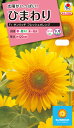 花種 NL300 ひまわり F1 サンリッチ フレッシュ オレンジ 小袋 FHM515 【花の種】【タキイのタネ】【ガーデニング】