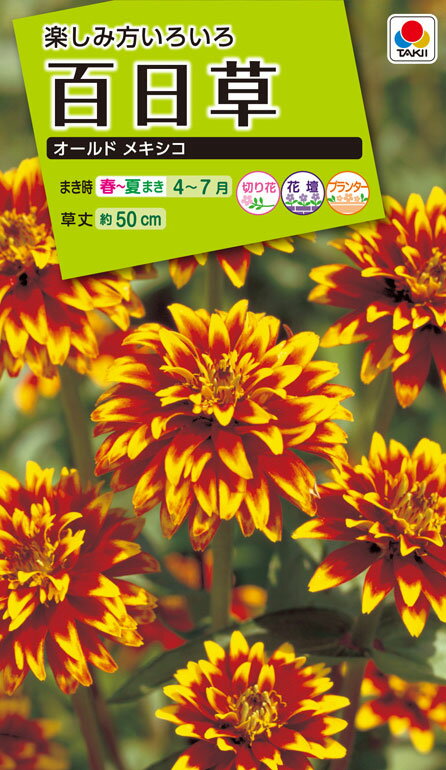 花種　NL200 百日草 オールド メキシコ 小袋 [FZN519]　【花の種】【タキイのタネ】【ガーデニング】