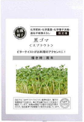 黒ゴマ/ごま スプラウト　S(12g)【有機種子・固定種】【おうちでべジ】【グリーンフィールドプロジェク..