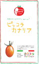 マロウの地中海トマト　ピッコラカナリア　ミニトマト種子　8粒【イタリアトマト】【野菜の種】