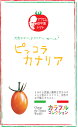 マロウの地中海トマト　ピッコラカナリア　ミニトマト種子　8粒