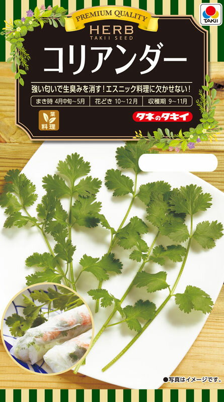 ハーブ種子　小袋　コリアンダー（パクチー、香菜）3ml【タキイのタネ】【ハーブの種】