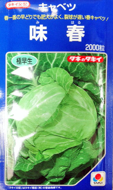 味春　サワー系キャベツ種子　2000粒　極早生種　良質系【野菜種子】【タキイ種苗】【極早生キャベツ】