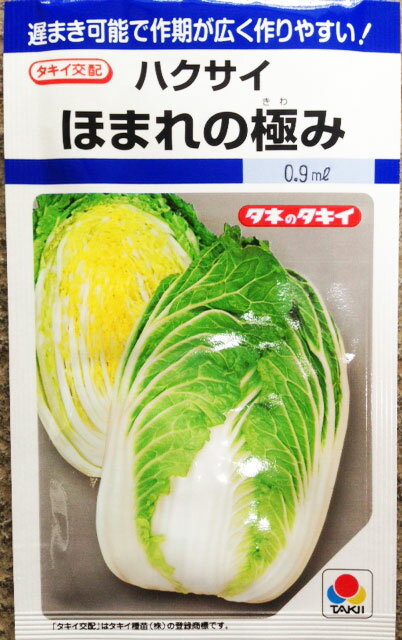 白菜種子　ほまれの極み　0.8ml　小袋【タキイ種苗】【黄芯白菜の種】【野菜種子】